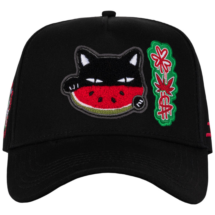 WATERMELON CAT BLACK