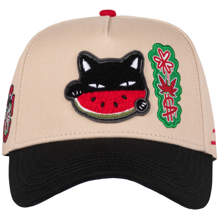 WATERMELON CAT BEIGE BLACK