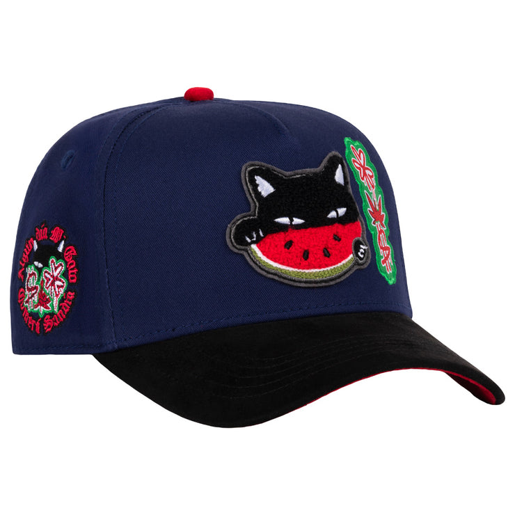 WATERMELON CAT BLUE